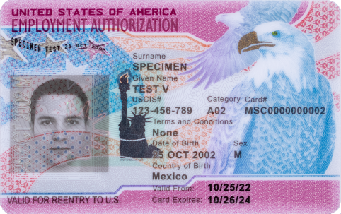 Sample Employment Authorization Document